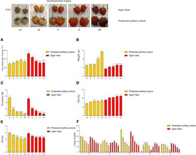 Differences in primary metabolism related to quality of raspberry (Rubus idaeus L.) fruit under open field and protected soilless culture growing conditions